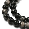 Natural Black Fossil Coral Beads Strands G-R494-A04-03-3