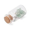 6Pcs Glass Wish Bottle Display Decoration PALLOY-JF03644-5