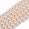 Baking Paint Pearlized Glass Pearl Round Bead Strands PEAR-H019-02B-02-1