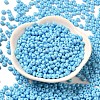 Baking Paint Glass Seed Beads SEED-B001-02A-12-2