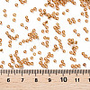 12/0 Glass Seed Beads SEED-A005-2mm-22B-3