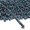 TOHO 6/0 Round Beads SEED-TR06-1206-2