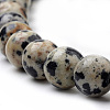 Natural Dalmatian Jasper Beads Strands G-S259-24-6mm-3