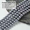 Eco-Friendly  Dyed Glass Pearl Round Beads Strands HY-A002-8mm-RB028-2