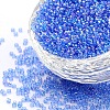 FGB 8/0 Grade A Round Glass Seed Beads SEED-Q010-3mm-F543-1