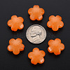 Imitation Jelly Acrylic Beads MACR-S373-87-E05-4
