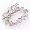 Electroplate Glass Bead Strands EGLA-J140-PL02-14mm-2
