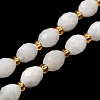 Natural Rainbow Moonstone Beads Strands G-H297-C12-01-5