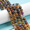 Natural Agate Beads Strands G-C082-A01-03-1