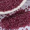 MIYUKI Round Rocailles Beads SEED-X0056-RR0645-1