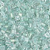 Transparent Inside Colours Glass Seed Beads SEED-T007-13N-2