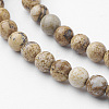 Natural Picture Jasper Bead Strands G-G735-16-4mm-3