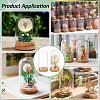 2Pcs Glass Cloche Dome Covers AJEW-BC0008-81-5