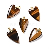 Natural Tiger Eye Pendants G-E570-01G-07-1