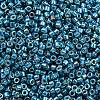 MIYUKI Delica Beads X-SEED-J020-DB2515-2