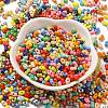 Baking Paint Glass Seed Beads SEED-K009-01A-01-2