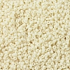 MIYUKI Round Rocailles Beads SEED-G007-RR0492-3