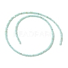 Natural Freshwater Shell Beads Strands SHEL-P017-01A-08-2