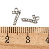 304 Stainless Steel Pendants STAS-L080-002P-07-3