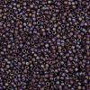 TOHO Round Seed Beads SEED-XTR08-0166BF-2
