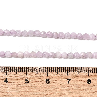 Natural Kunzite Beads Strands X-G-G343-B04-3mm-1