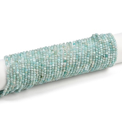 Natural Amazonite Bead Strands X-G-P279-42-2mm-01-1