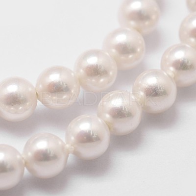 Shell Pearl Bead Strands BSHE-L025-01-4mm-1