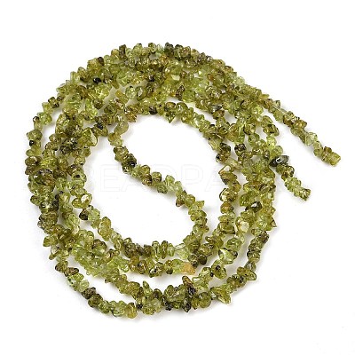 Natural Peridot Beads Strands X-G-P332-48-02-1