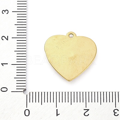 304 Stainless Steel Pendants STAS-V003-05G-06-1
