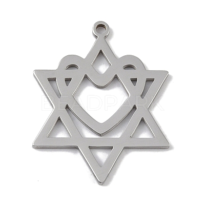 Non-Tarnish 304 Stainless Steel Pendants STAS-B062-19P-1