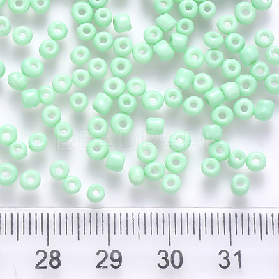 6/0 Baking Paint Glass Round Seed Beads SEED-S036-01C-02-1