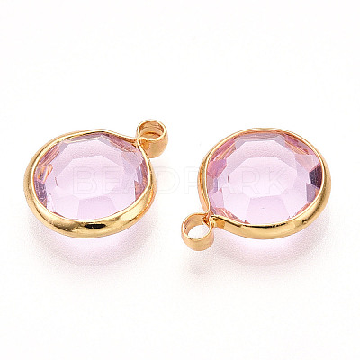 K9 Glass Charms GLAA-T023-37A-03-1