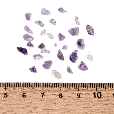 Natural Amethyst Chip Beads X-G-L453-06-1