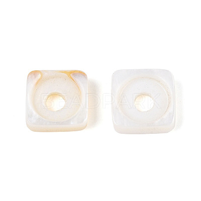 Natural Freshwater Shell Beads BSHE-T014-16-1