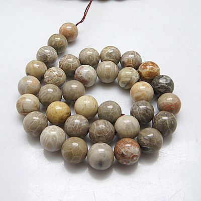 Natural Fossil Coral Beads Strands G-G212-8mm-31-1