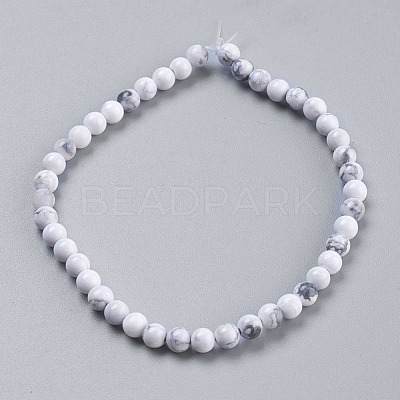 Natural Howlite Beads Strands TURQ-G091-4mm-1