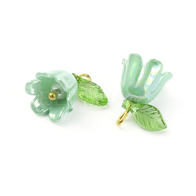 Opaque Resin Pendants CRES-CJC0009-05G-06-1