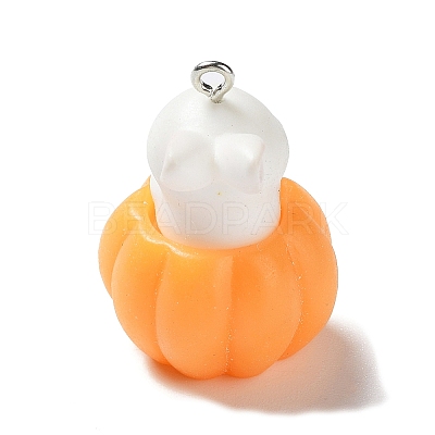 Resin Pendants CRES-D009-01H-1