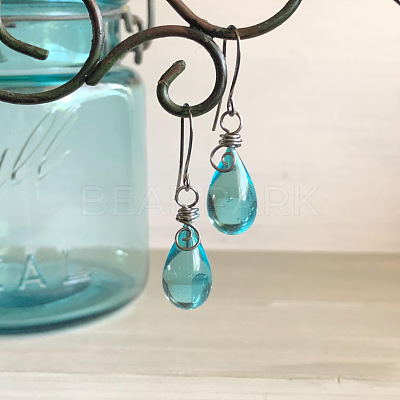 Resin & Alloy Dangle Earrings WG626EB-01-1