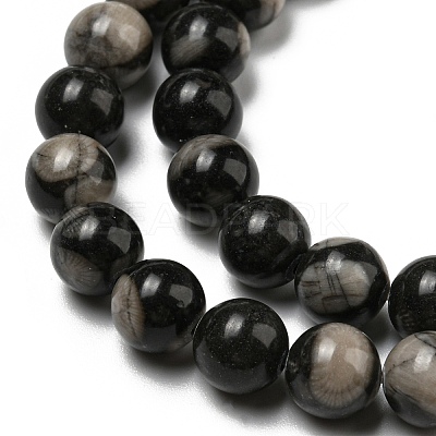 Natural Black Fossil Coral Beads Strands G-R494-A04-03-1
