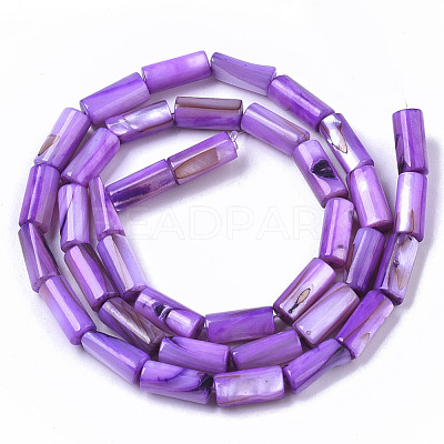 Natural Freshwater Shell Beads SHEL-R047-01C-1