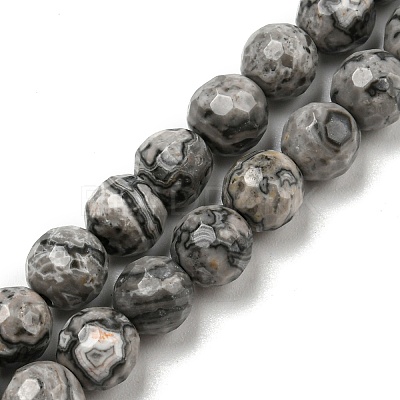 Natural Map Stone/Picasso Stone/Picasso Jasper Beads Strands G-C079-B05-01-1