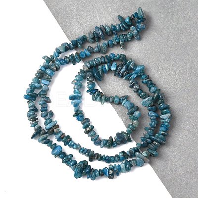 Natural Apatite Beads Strands G-F666-01B-02-01-1