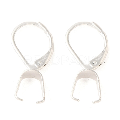 Ion Plating(IP)  304 Stainless Steel Leverback Earring Findings STAS-U025-01S-02-1