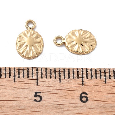 304 Stainless Steel Charms STAS-Z121-14G-1