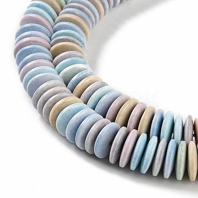 Natural Rainbow Alashan Agate Beads Strands G-NH0022-F01-01-1