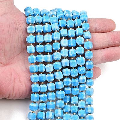 Natural Howlite Beads Strands G-C025-01B-1