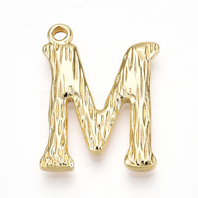 304 Stainless Steel Pendants STAS-N117-01G-M-1