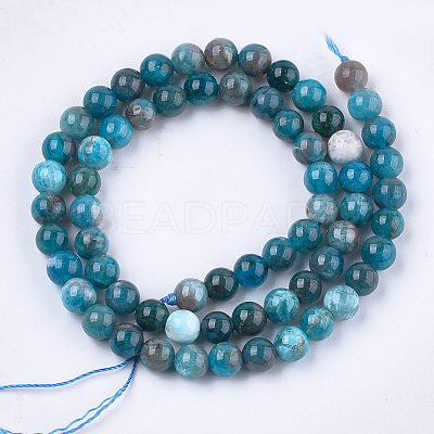 Natural Apatite Beads Strands G-S333-6mm-031-1