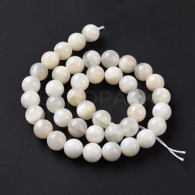 Natural White Moonstone Beads Strands G-F674-08-10mm-01-1